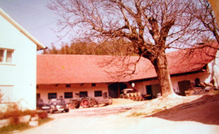 Das Anwesen um 1980